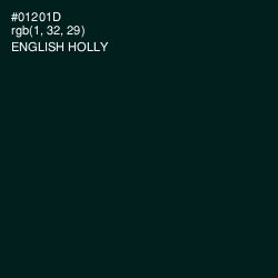 #01201D - English Holly Color Image